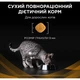 Сухий корм для кішок Purina Pro Plan Veterinary Diets NF Renal Function Early Care При хворобі нирок на ранніх стадіях 350 г (7613287882219) - зображення 9