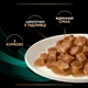 Вологий корм для кішок Purina Pro Plan Veterinary Diets EN Gastrointestinal При хворобах шлунково-кишкового тракту З куркою 10 x 85 г (8445290093561) - зображення 6