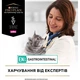 Вологий корм для кішок Purina Pro Plan Veterinary Diets EN Gastrointestinal При хворобах шлунково-кишкового тракту З куркою 10 x 85 г (8445290093561) - зображення 7