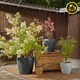 Вазон Lechuza CLASSICO Color ECO 18, темно-серый (A-014829) - изображение 8