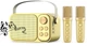 Портативная караоке-система Inspire YS-105 Gold - изображение 1