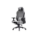 Крісло ігрове Аклас Альтрон R-MB OT-R240 Сіре (m445288) - зображення 1