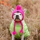 Шапка для собак и кошек "Beauty" Pink Size L - зображення 5