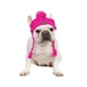 Шапка для собак и кошек "Beauty" Pink Size L - зображення 12