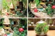 Румбокс - шар интерьерный 3D конструктор Miniature DIY Cuteroom Mini fairy Forest Elf Tribe TOTORO B-010 + подставка - изображение 10