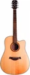 Акустична гітара Alfabeto Solid WMS41 (Natural) + чохол - зображення 1