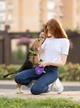 Поводок-рулетка для собак WAUDOG R-leash с контейнером для пакетов светоотражающая лента M до 20 кг 5 м Фиолетовый (26289Collar) - изображение 6