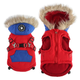 Зимовий жилет для собак з капюшоном та хутром Derby Red/Blue, S Червоний/синій - зображення 6