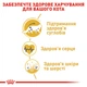 Сухий корм Royal Canin Maine Coon Adult для кішок породи Мейн-кун 2 кг (3182550710640) - зображення 5