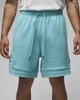 Шорти чоловічі Jordan Flight Fleece Shorts Light L Блакитний (DQ7472-464) - зображення 2