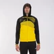 Кофта мужская Joma Supernova Ii L Жовто-чорний 101605.901 - изображение 4