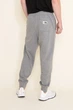 Брюки мужские THE NORTH FACE Heritage Patch Joggers L Серый (NF0A7WXI-I0D) - изображение 2