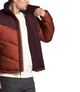 Куртка чоловіча THE NORTH FACE Saikuru Jacket L Червоно-бордовий (NF0A2VEZTEP) - зображення 3