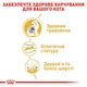 Сухий корм для дорослих кішок Royal Canin Bengal Adult для кошек породы бенгальская 2 кг (3182550864091) (4370020)A - изображение 5