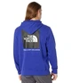 Худі чоловічий THE NORTH FACE Nse Pullover L Синій (NF0A7UNSZXC) - зображення 2