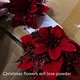 Різдвяна квітка Пуансетія оксамитова червона 14 см блискуча - изображение 3