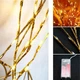 Гирлянда-ветка Brush light золотая на батарейках - изображение 7