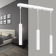 Светильник подвесной MSK Electric Tube NL 3522-3 W - изображение 1