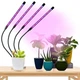 Гибкая светодиодная Фитолампа Grow Light 7819 для выращивания комнатных растений полный спектр фитосветильник для комнатных цветов, рассады, орхидей на 4 лампы USB 0042286 - изображение 9