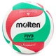 Мяч волейбольный клееный PU MOLTEN V5M5000 (V5M5000) - изображение 1