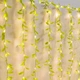Декоративна гірлянда SunLamp 180 Led теплий білий, 3х1м 10 ліній 8 режимів, 220в - зображення 2