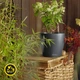Вазон Lechuza CLASSICO Color ECO 18, темно-серый (A-014829) - изображение 12