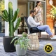 Вазон Lechuza CLASSICO Color ECO 18, темно-серый (A-014829) - изображение 11