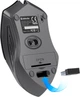 Мышь Defender Accura MM-275 Wireless Black/Blue (52275) - изображение 5
