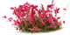 Kwiaty do dekoru Gamers Grass Pink Flowers Wild 6 mm (738956789938) - obraz 1