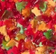 Жувальні цукерки у формі кажанів Haribo Sour Bats Gummy Candy 113г - зображення 6