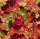 Жувальні цукерки у формі кажанів Haribo Sour Bats Gummy Candy 113г - зображення 3