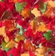 Жувальні цукерки у формі кажанів Haribo Sour Bats Gummy Candy 113г - зображення 4