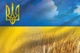 Прапор України з малим гербом «Пшеничне поле» 105х70 см PromoZP - зображення 3