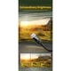 Видео кабель UGREEN DP114 DP Male to Male DP1.4 8K Round Cable ABS Shell Braid 1.5m, Black - изображение 4