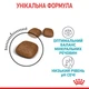 Royal Canin Urinary Care 0.4 кг | Сухий корм для котів Урінарі Кер (3182550842907) (1800004) - изображение 11