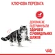 Royal Canin Urinary Care 0.4 кг | Сухий корм для котів Урінарі Кер (3182550842907) (1800004) - изображение 12