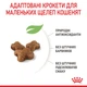 Royal Canin Kitten Сухий Корм ​​Для Кошенят 2 кг (3182550702423) (2522020) - зображення 5