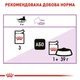 Royal Canin Sterilised Loaf 0.085 кг - паштет для стерилізованих котів (9003579003923) (41470010) - изображение 4