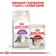 Royal Canin Sensible 2 кг | Сухий корм для котів з чутливим травленням (3182550702317) (2521020) - изображение 8