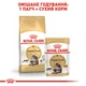 Royal Canin 3+1 Royal Canin Maine Coon Adult Вага: 0.085 кг | Консервований корм для котів Мейнкун Паучі (0273577001217) (11632) - зображення 10