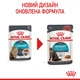 Royal Canin Urinary Care Консервування Корм ​​Для Котів Підтримання Здоров'я Сечовідільної Системи 0,085 кг (9003579000366) (41570019) - зображення 6