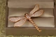 Брошь Xuping Jewelry Стрекоза с белыми крылышками 4 см золотистая - изображение 1