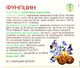Комплекс Фунгіцин Рослина Карпат, протигрибковий засіб з протизапальною дією, 60 таблеток по 500 мг - зображення 2