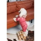 Одежда Pet Fashion Cherry Комбинезон для собак-девочек S2 (1111180541) - изображение 5