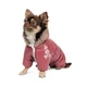 Одежда Pet Fashion Cherry Комбинезон для собак-девочек S2 (1111180541) - изображение 2