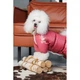 Одежда Pet Fashion Cherry Комбинезон для собак-девочек S2 (1111180541) - изображение 6