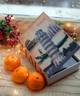 Книга сейф на кодовом замке 24 см Италия для денег и ценностей - изображение 7