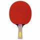 Професійна ракетка для настільного тенісу Giant Dragon Topenergy 5* - зображення 7