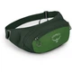 Поясная сумка Osprey Daylite Waist Зелений - изображение 1