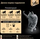 Sheba Консервування Корм ​​Для Котів Шеба З Океанічною Рибою У Соусі 85 Г (4770608257187) (257187) - зображення 7